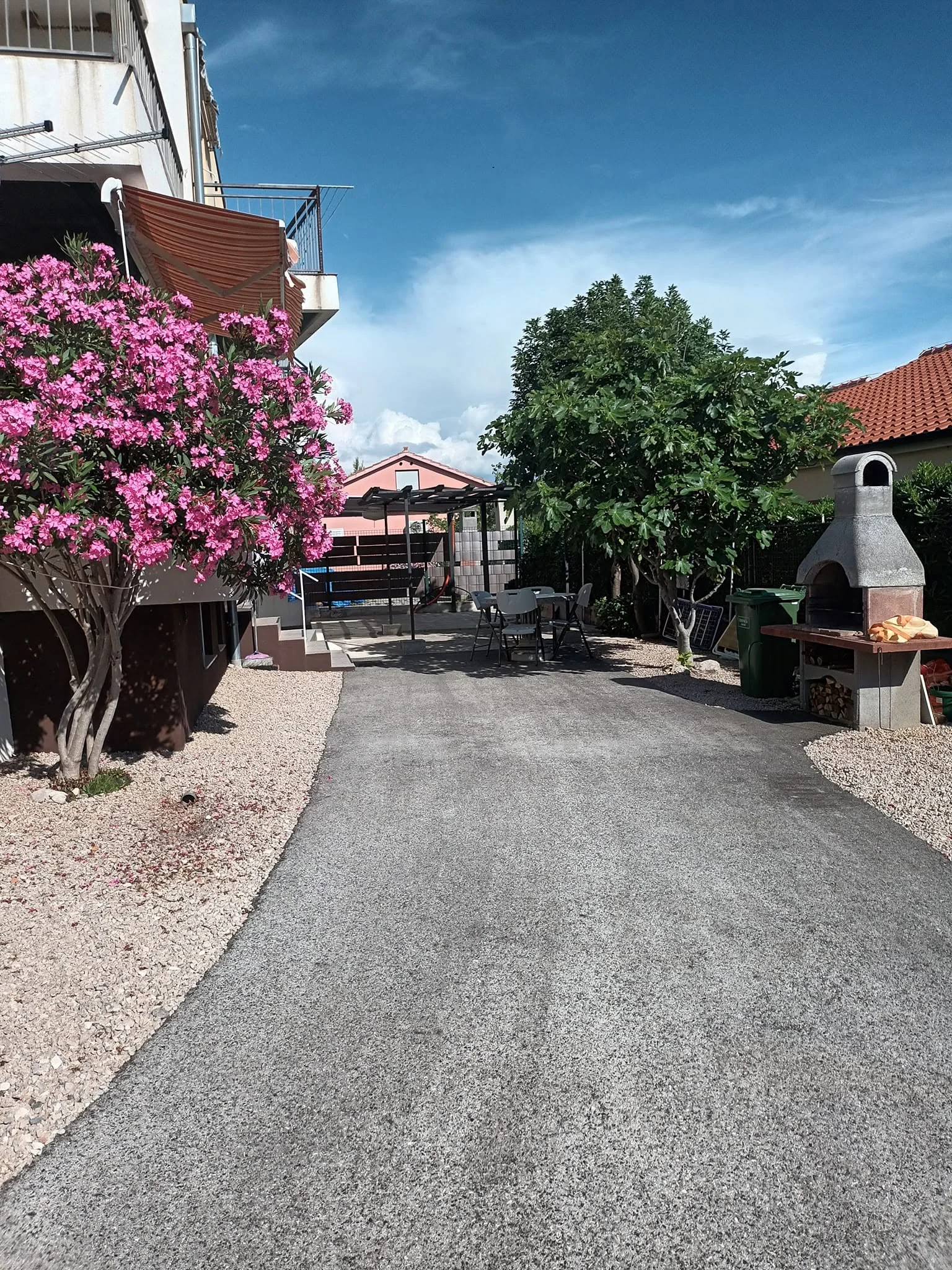Apartman A2 — Pogled na smokve i mediteransko bilje u vrtu